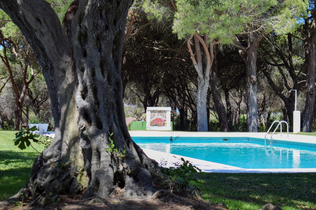 La Tortuga Casa vacanze